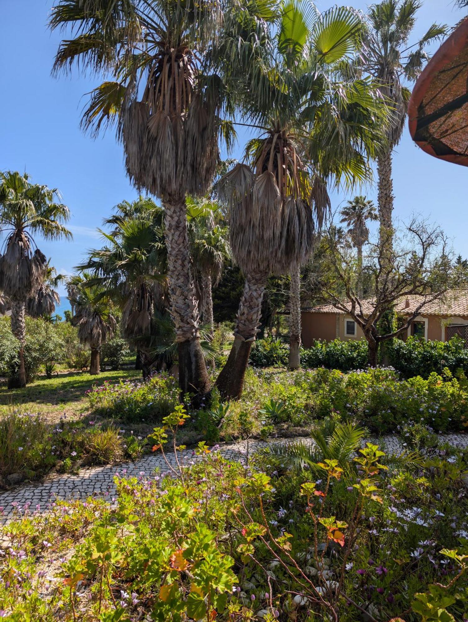 Quinta do Mar - Country&Sea Village Luz Exterior foto